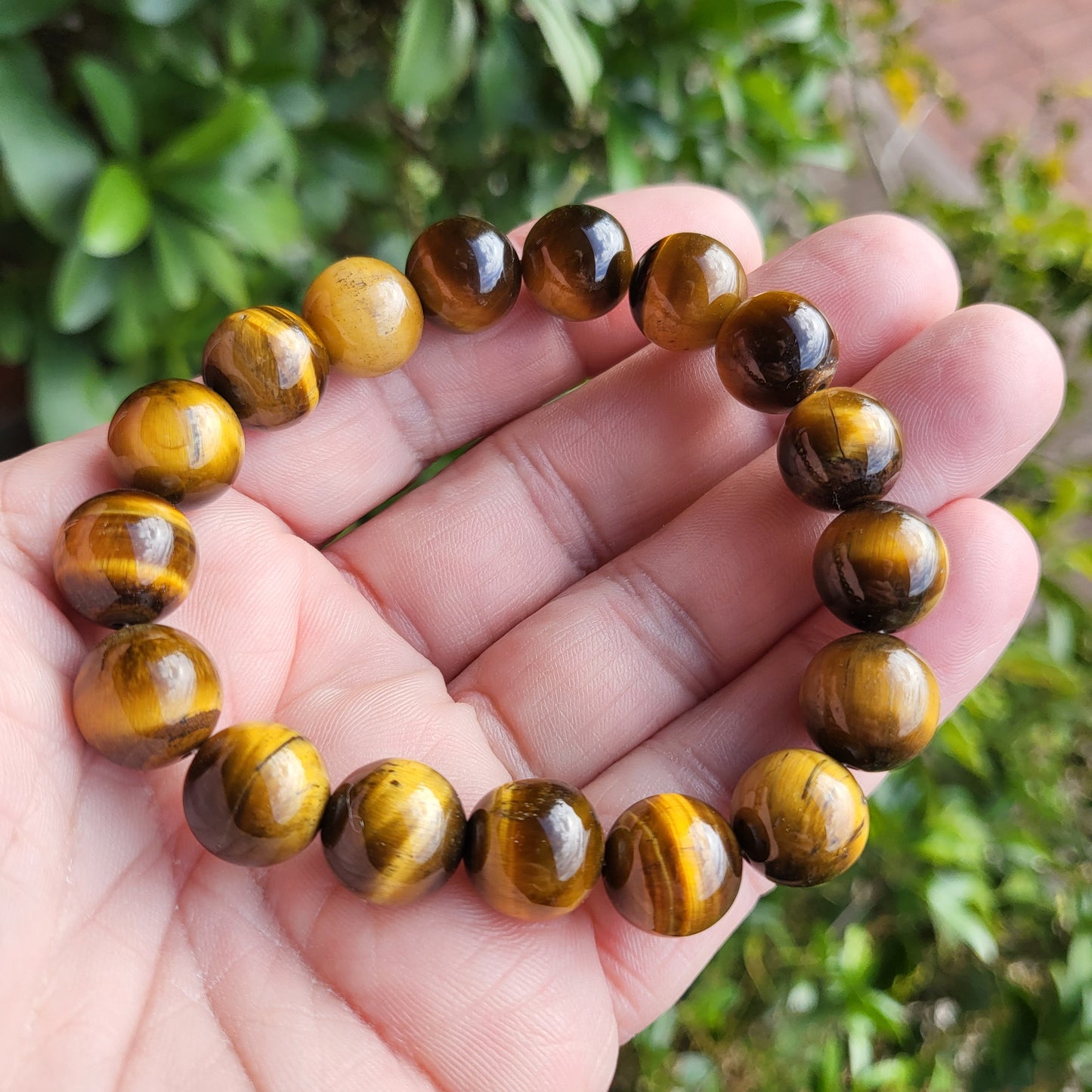 Tigers eye Bracelet 8mm and 12mm
