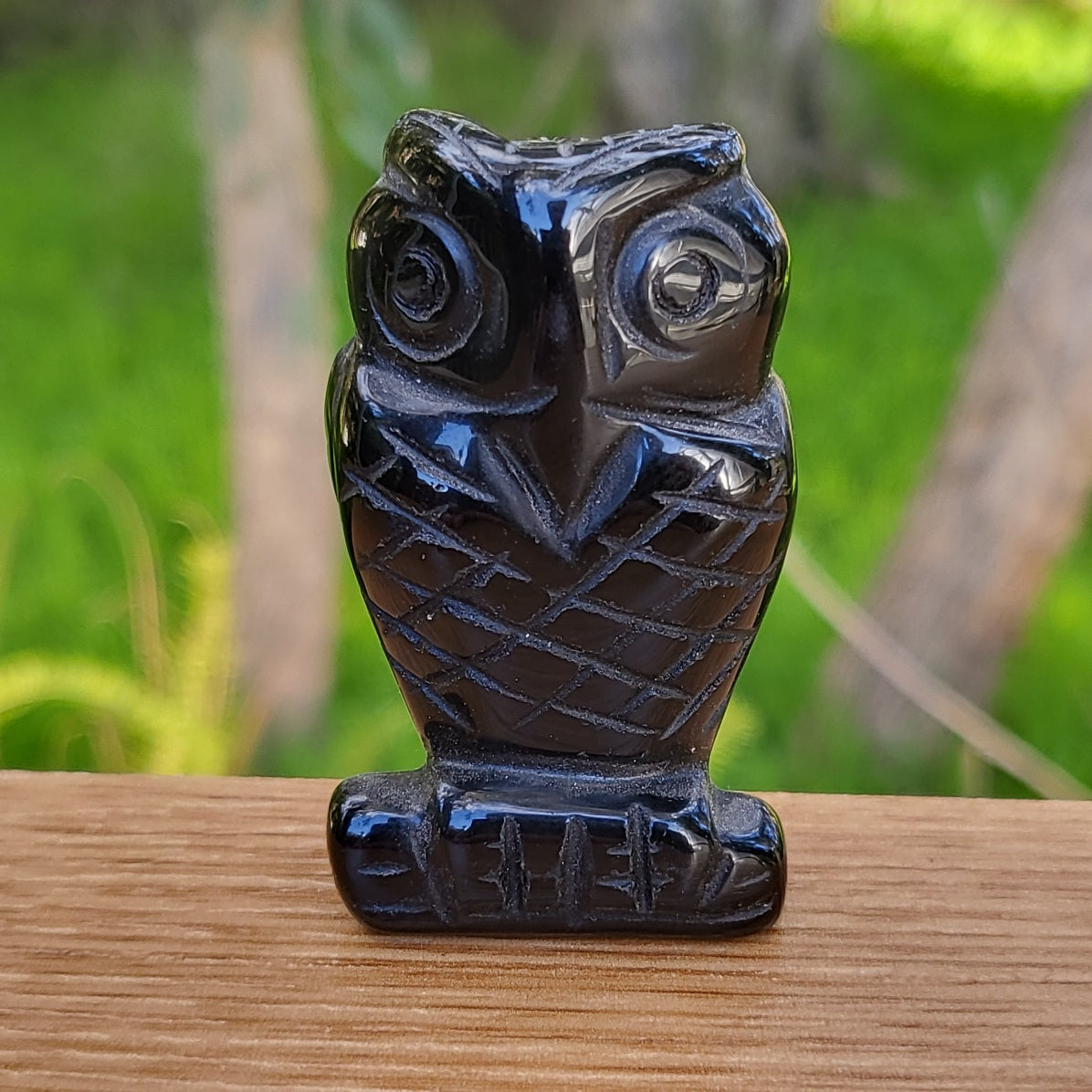 Obsidian Owl