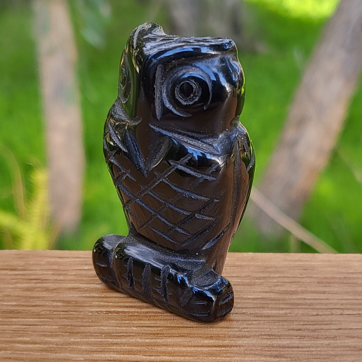 Obsidian Owl