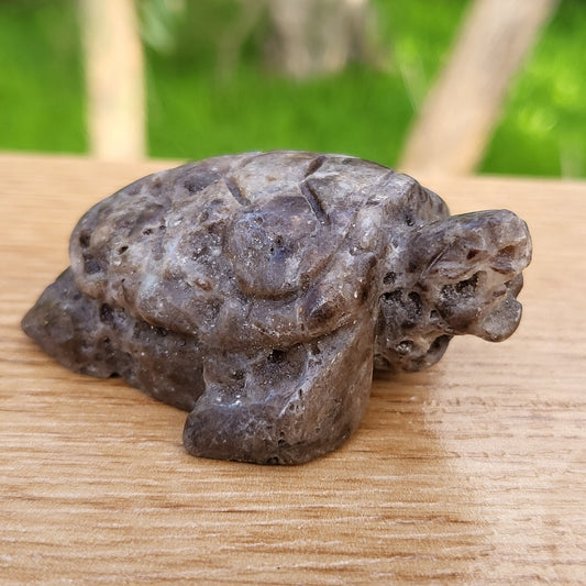 Sphalerite Turtle