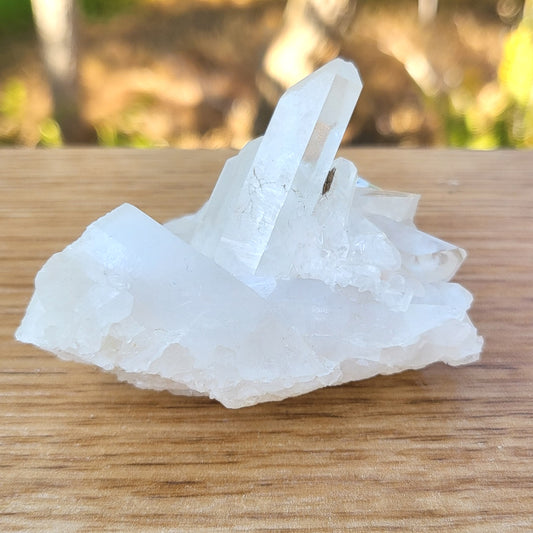 Clear Quartz Cluster