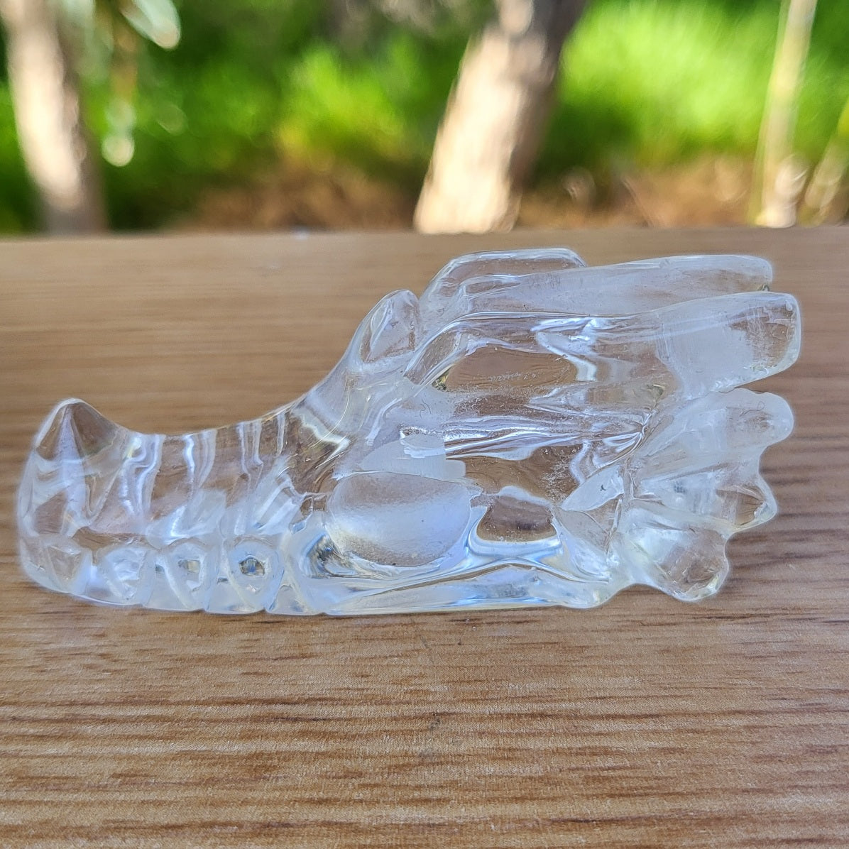 Clear Quartz Dragon Skull