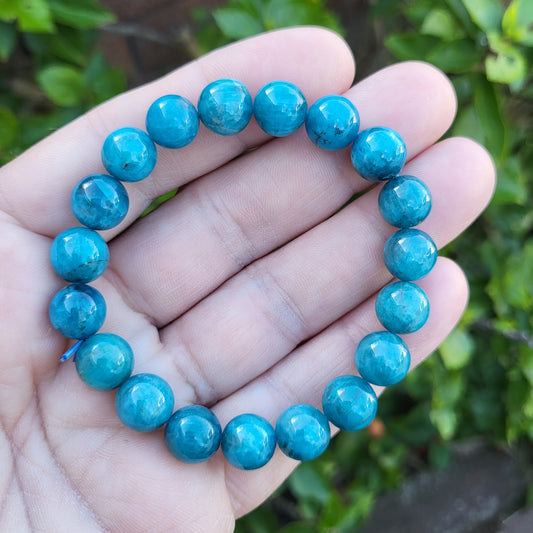 Apatite Bracelet 10mm