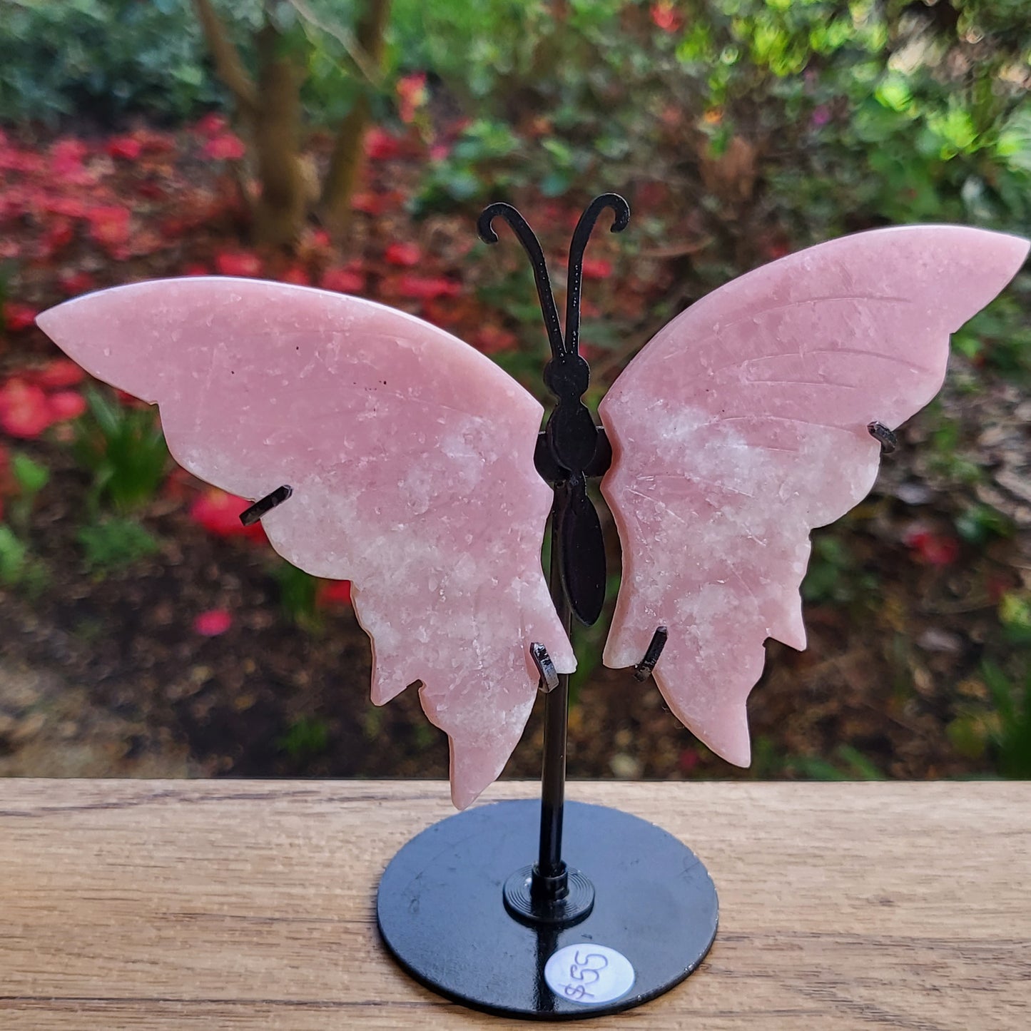 Pink Opal Butterfly