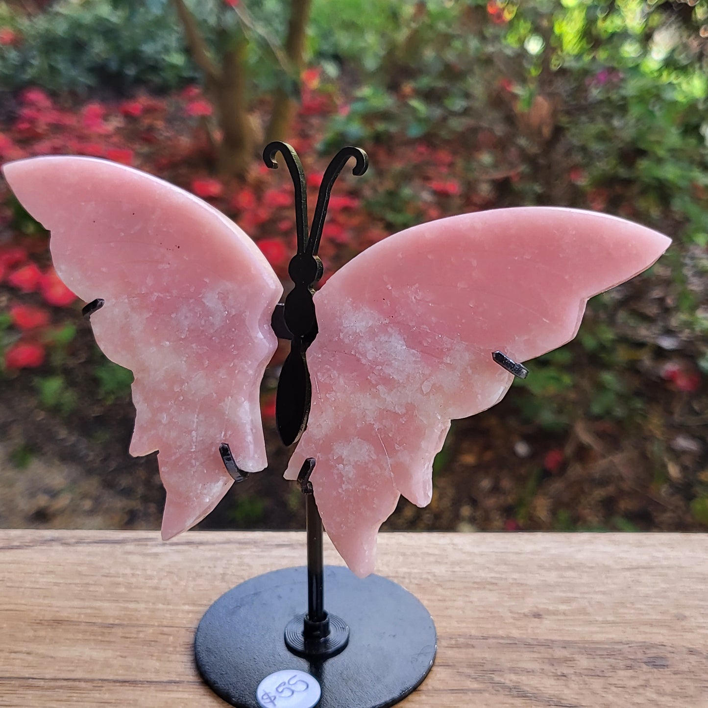 Pink Opal Butterfly