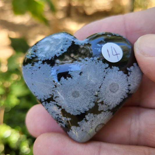 Snowflake Obsidian Heart item p12